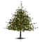 3ft. Pre-Lit Colorado Mountain Pine Artificial Christmas Tree, Clear LED Lights